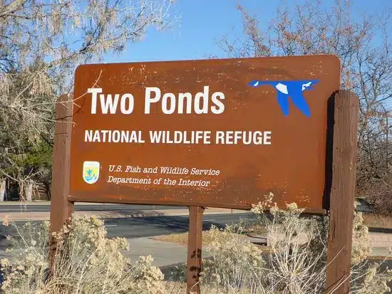 Two Ponds National Wildlife Refuge_